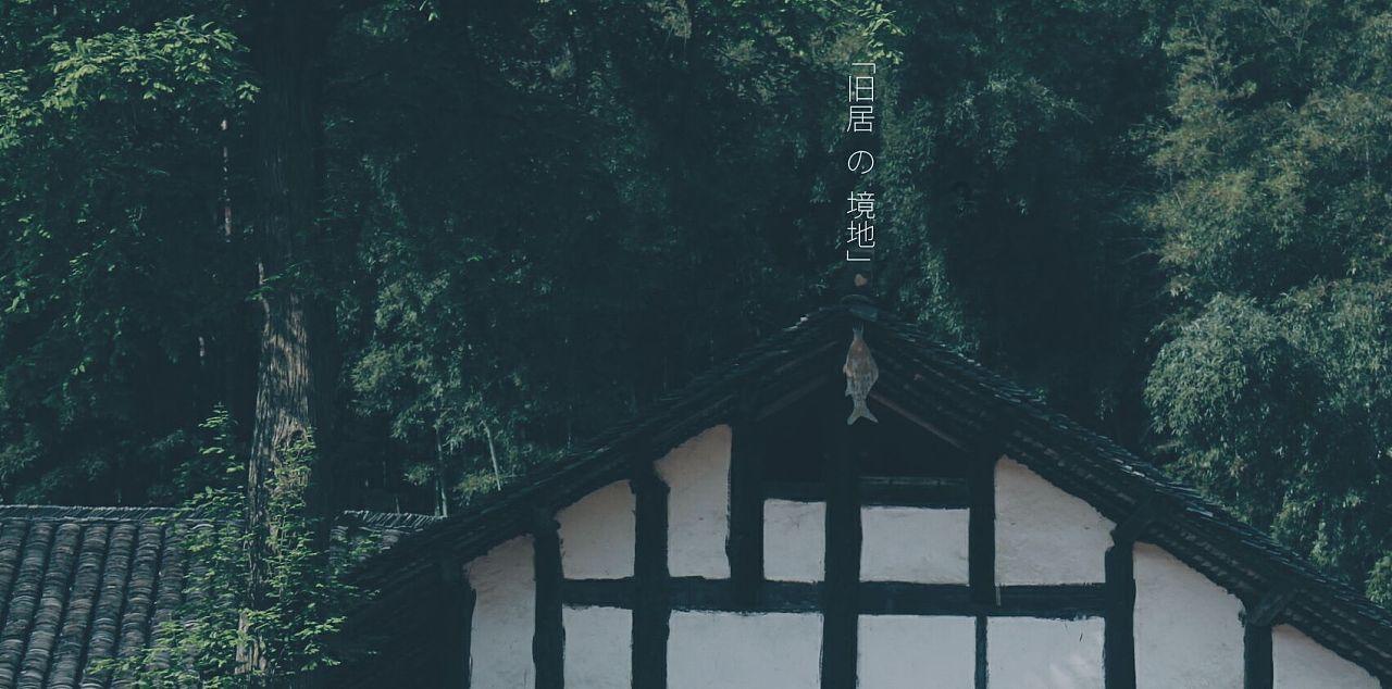 QQ企鹅